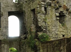 Fannings Castle (Whatmores Limerick Castle)