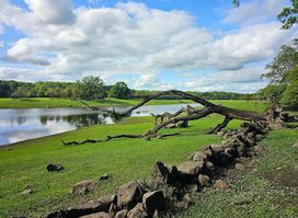 Coole Park
