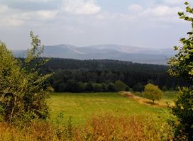 Harzer Bachtäler