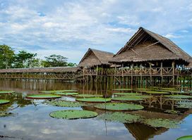 Amazon Experience Tours Leticia Amazonas