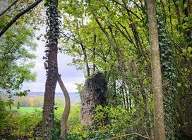 Menhir de Heyd
