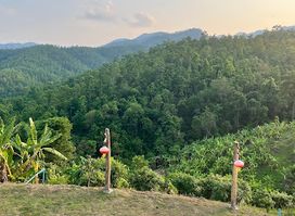 Chinese Viewpoint