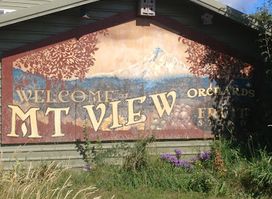 Mt View Orchards