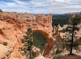Natural Bridge