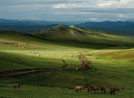 Way To Mongolia