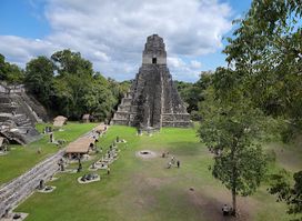 Reserva de Biosfera Maya