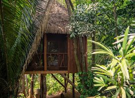 Sweet Songs Jungle Lodge, a Muy'Ono Resort