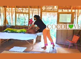 COCOLOVE