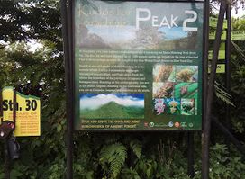 Peak 2