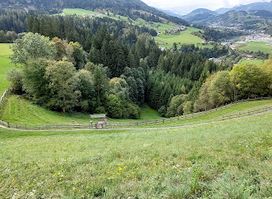 Bogen Jagd Alpendorf