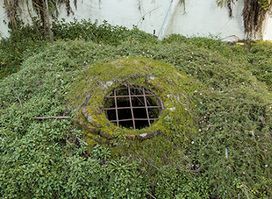 Ruinas de la Antigua Noria de Concepción