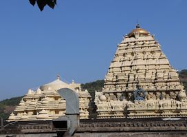 Sri Varahalakshmi Narasimha Swamy Vari Devasthanam
