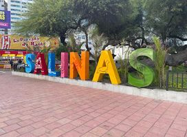 Letras Salinas