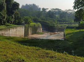 Bukit Timah Diversion Canal Wetlands