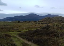 National Trust - Murlough National Nature Reserve