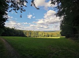 Spessart Blick