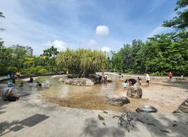 Clusia Cove