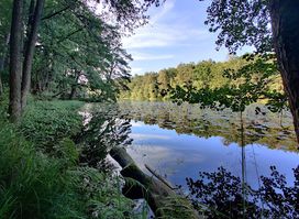 Hisings park