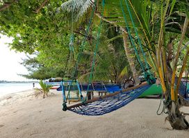 Ocean Swing