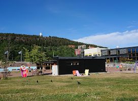 Attraction