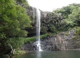 Tamarind Falls Hiking Trail Start