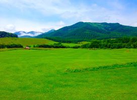 Tokachi Millennium Forest