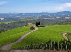 Castiglion del Bosco Winery