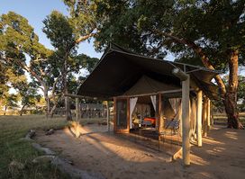 Davison's Camp