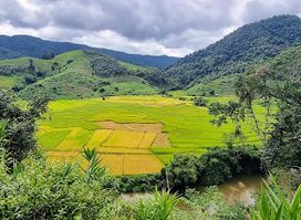The Hiker Travel Agency Laos