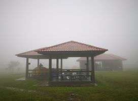 Phu Kradueng Park Campground