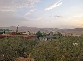 Zaithun(Olive) Farm