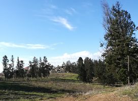 Sheikh Hilu Historical Site