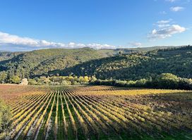 Wine Tour in Tuscany