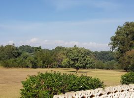Kitale Club