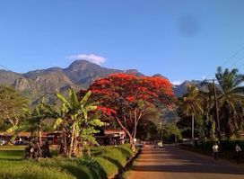 Africasana Tours and Safaris Company