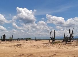 Santuario de Fauna y Flora Los Flamencos