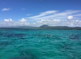 Pure Ocean Samoa