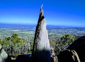 Mount Alexander Regional Park