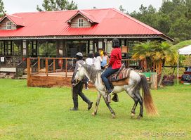 Ranch Le Montcel