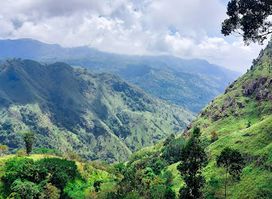 Ella Rock Camping area and Mini view point
