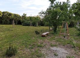 Lesopark Černovice