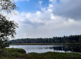 Snepkensvijver Heiberg