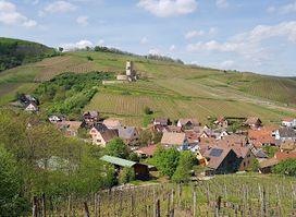Castle Wineck