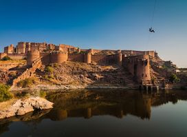 Flying Fox Jodhpur