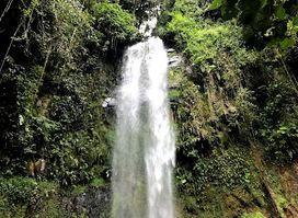BAJO MONOd CAMPING SITE, BOQUETE