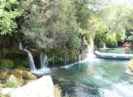 Studenci Cetina