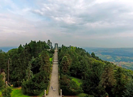 Avala