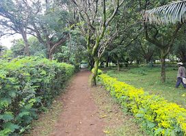 Uhuru park kisumu