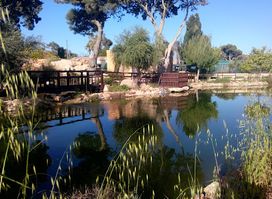 Ta Qali Petting Farm