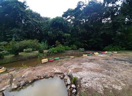 Sulphur Spring